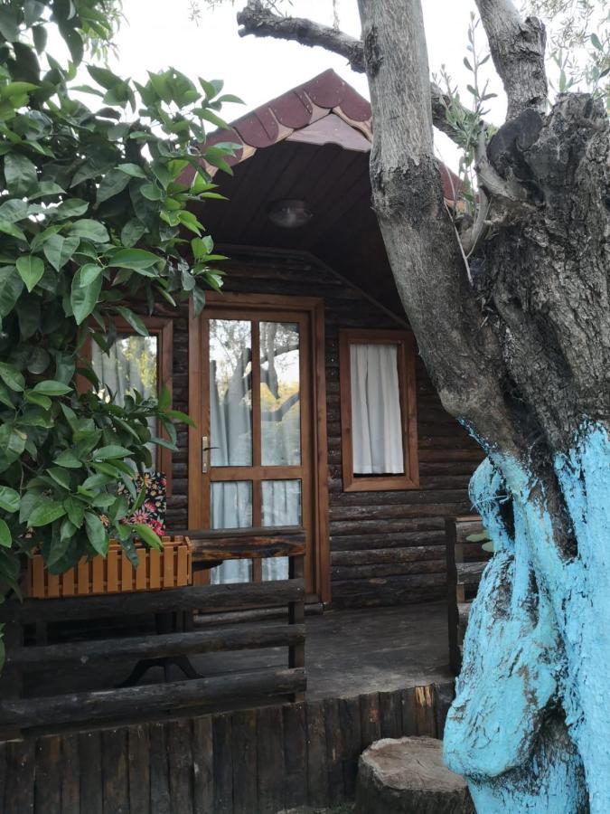 Zeytindagi Bungalow Mehmetalani Εξωτερικό φωτογραφία