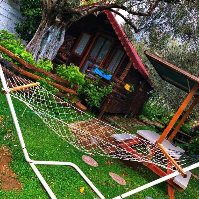 Zeytindagi Bungalow Mehmetalani Εξωτερικό φωτογραφία