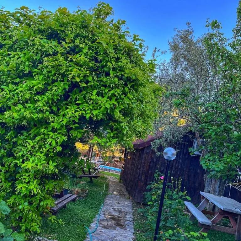 Zeytindagi Bungalow Mehmetalani Εξωτερικό φωτογραφία