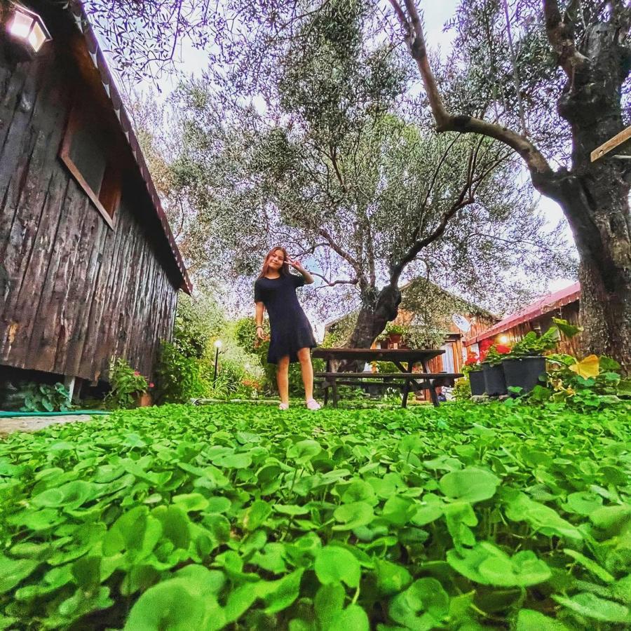 Zeytindagi Bungalow Mehmetalani Εξωτερικό φωτογραφία