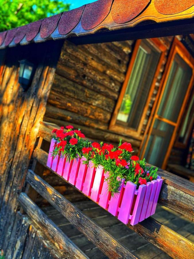 Zeytindagi Bungalow Mehmetalani Εξωτερικό φωτογραφία